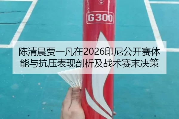 chen-qing-chen-jia-yi-fan-zai-yin-ni-gong-kai-sai-ti-neng-yu-kang-ya-biao-xian-pou-xi-ji-zhan-shu-sai-mo-jue-ce-2-609.jpg